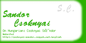 sandor csoknyai business card